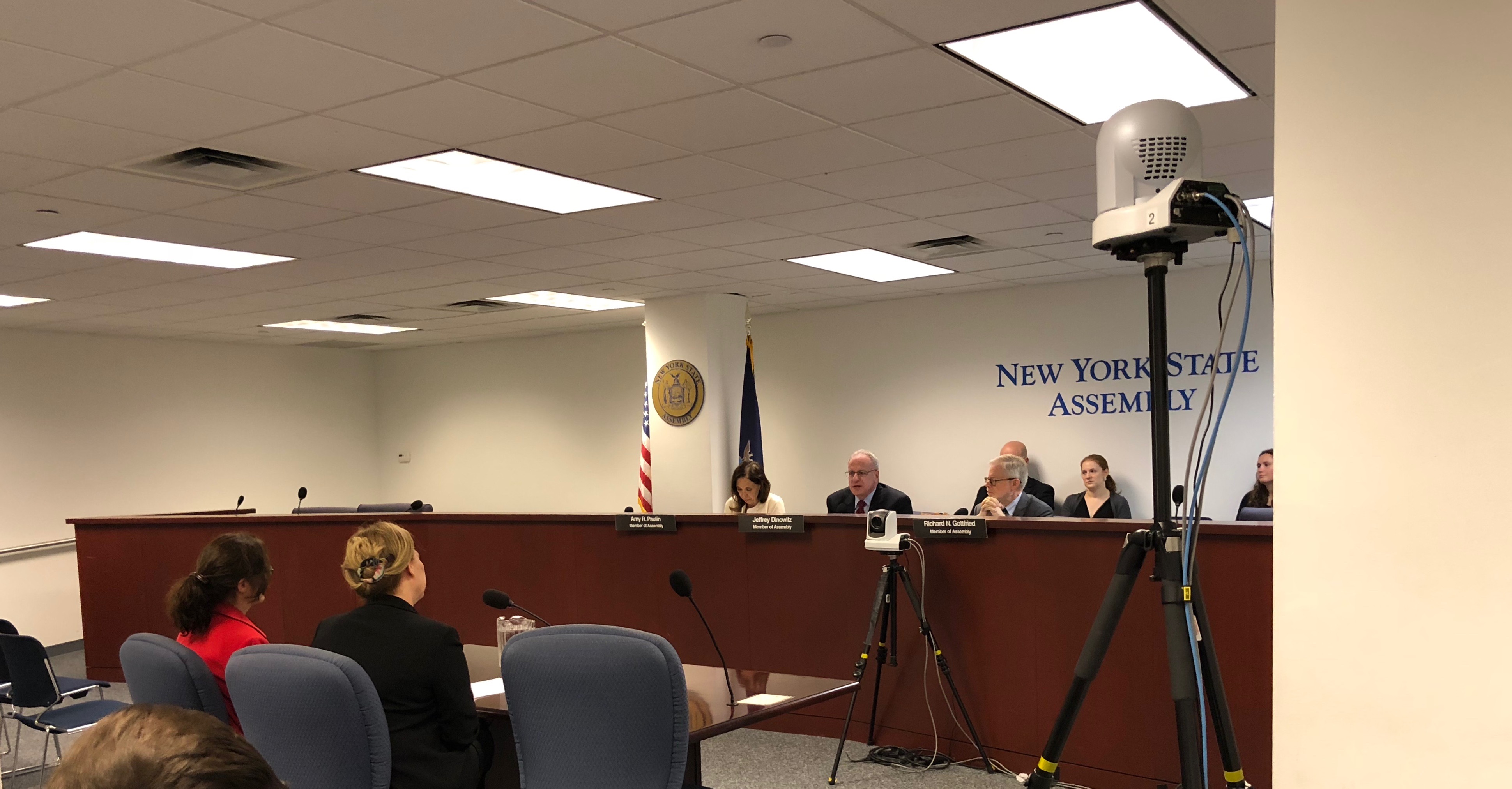 Nina and Denise testifying at a legislative hearing of the New York Assembly Judiciary and Health Committees.